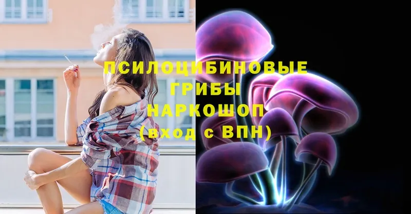 Псилоцибиновые грибы Psilocybe  Щёкино 